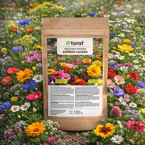 TORAF Łąka kwietna Mieszanka Kwiatów Express Łączka vis 100g sklep rajogrodnika